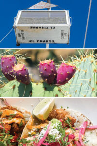 A box of meat hanging from a crane, pickly pear buds, tacos.