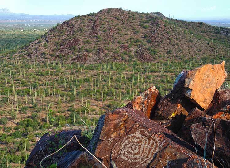 Tucson Guide - Shop Local